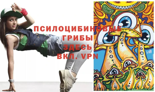 а пвп мука Верея