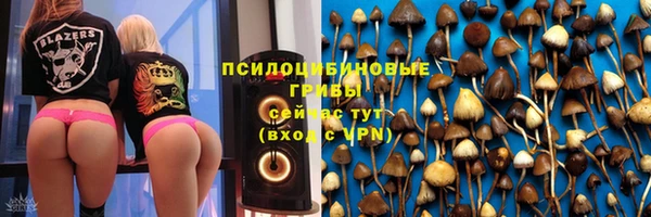 дмт Володарск