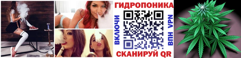 дарк нет официальный сайт где можно купить omg как зайти Егорьевск Шишки марихуана марихуана